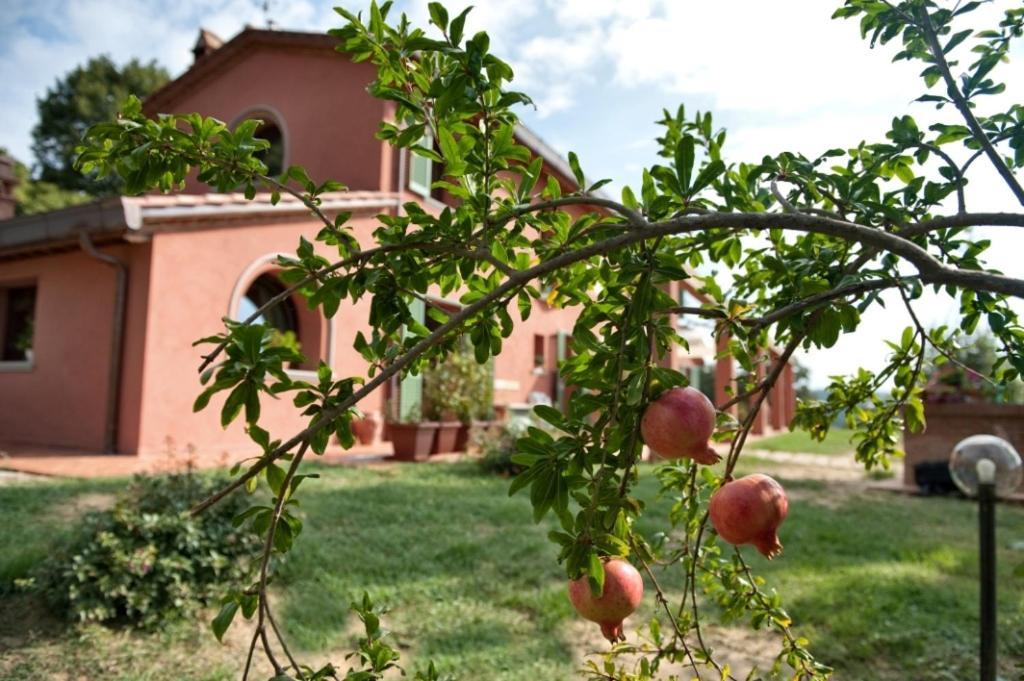 Podere Chiaromonte Palaia Luaran gambar